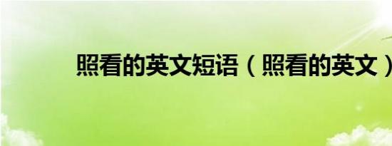 照看的英文短语（照看的英文）