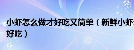 小虾怎么做才好吃又简单（新鲜小虾米怎么做好吃）