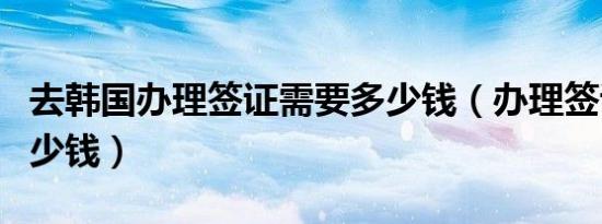 去韩国办理签证需要多少钱（办理签证需要多少钱）