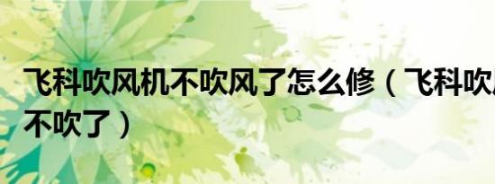 飞科吹风机不吹风了怎么修（飞科吹风机突然不吹了）