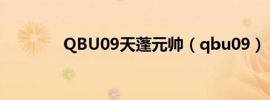 QBU09天蓬元帅（qbu09）