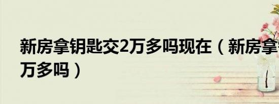 新房拿钥匙交2万多吗现在（新房拿钥匙交2万多吗）