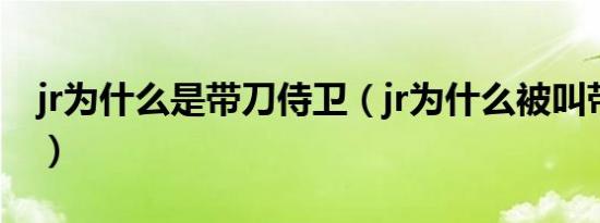 jr为什么是带刀侍卫（jr为什么被叫带刀侍卫）