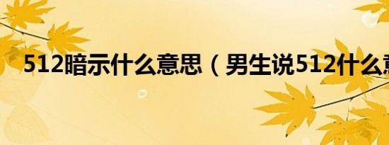 512暗示什么意思（男生说512什么意思）