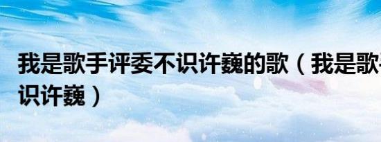 我是歌手评委不识许巍的歌（我是歌手评委不识许巍）