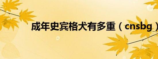 成年史宾格犬有多重（cnsbg）