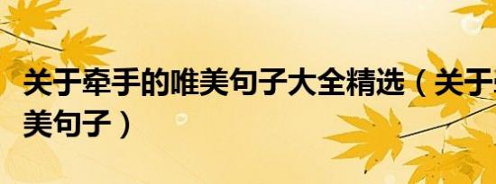 关于牵手的唯美句子大全精选（关于牵手的唯美句子）