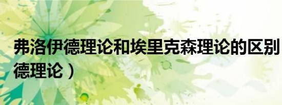 弗洛伊德理论和埃里克森理论的区别（弗洛伊德理论）