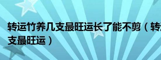 转运竹养几支最旺运长了能不剪（转运竹养几支最旺运）
