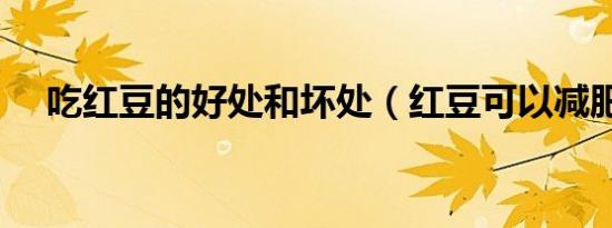 吃红豆的好处和坏处（红豆可以减肥吗）