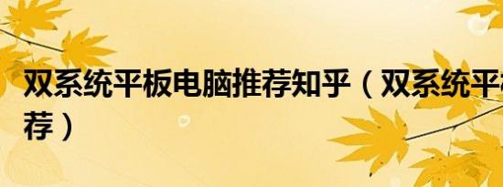 双系统平板电脑推荐知乎（双系统平板电脑推荐）