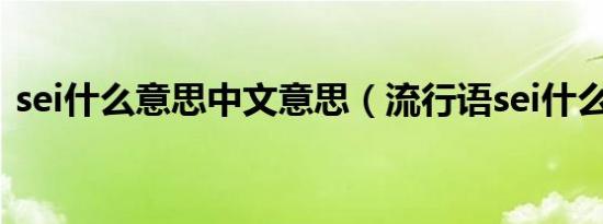 sei什么意思中文意思（流行语sei什么意思）