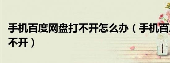 手机百度网盘打不开怎么办（手机百度网盘打不开）