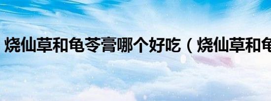 烧仙草和龟苓膏哪个好吃（烧仙草和龟苓膏）