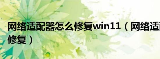 网络适配器怎么修复win11（网络适配器怎么修复）