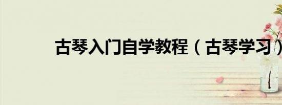 古琴入门自学教程（古琴学习）