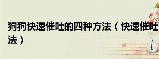 狗狗快速催吐的四种方法（快速催吐的四种方法）