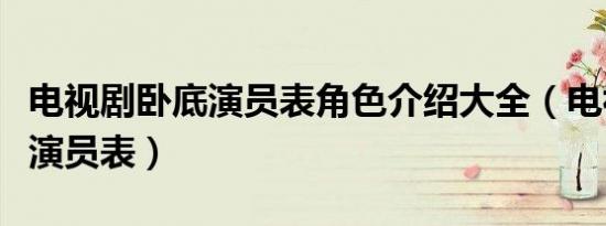电视剧卧底演员表角色介绍大全（电视剧卧底演员表）
