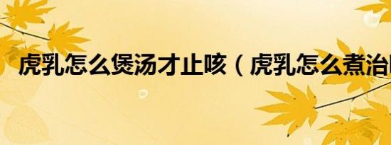 虎乳怎么煲汤才止咳（虎乳怎么煮治咳嗽）