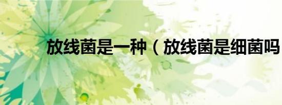 放线菌是一种（放线菌是细菌吗）