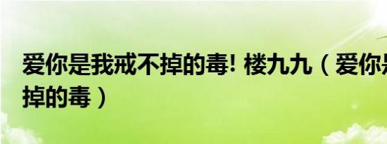 爱你是我戒不掉的毒! 楼九九（爱你是我戒不掉的毒）