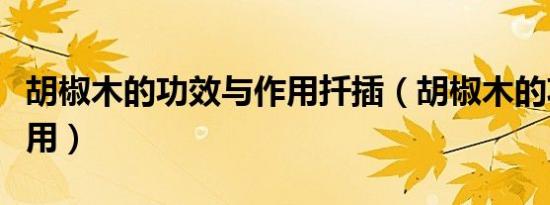 胡椒木的功效与作用扦插（胡椒木的功效与作用）