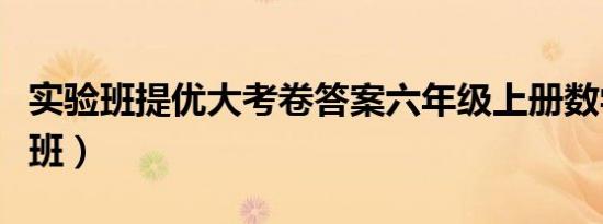 实验班提优大考卷答案六年级上册数学（实验班）