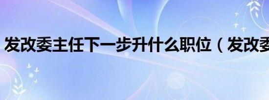 发改委主任下一步升什么职位（发改委主任）