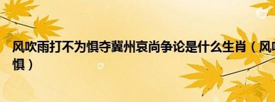风吹雨打不为惧夺冀州哀尚争论是什么生肖（风吹雨打不为惧）