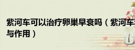 紫河车可以治疗卵巢早衰吗（紫河车粉的功效与作用）