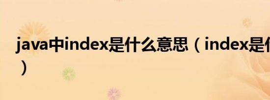 java中index是什么意思（index是什么意思）