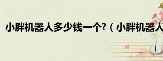 小胖机器人多少钱一个?（小胖机器人价格）