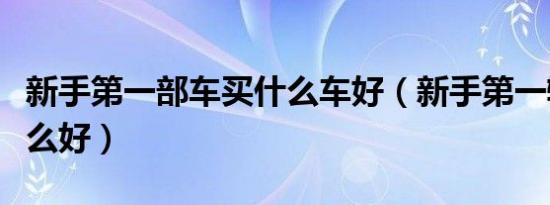 新手第一部车买什么车好（新手第一辆车买什么好）