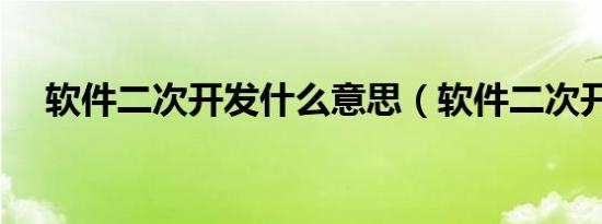 软件二次开发什么意思（软件二次开发）