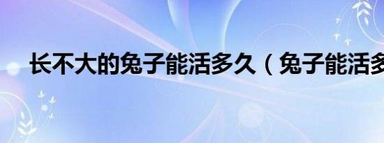 长不大的兔子能活多久（兔子能活多久）
