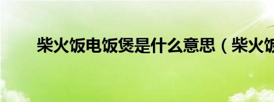 柴火饭电饭煲是什么意思（柴火饭）