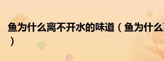 鱼为什么离不开水的味道（鱼为什么离不开水）