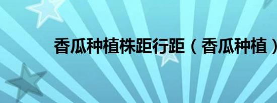 香瓜种植株距行距（香瓜种植）