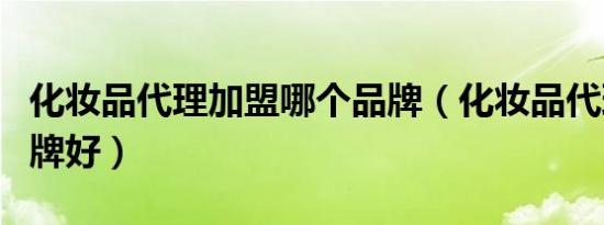 化妆品代理加盟哪个品牌（化妆品代理哪个品牌好）