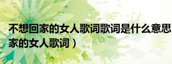 不想回家的女人歌词歌词是什么意思（不想回家的女人歌词）