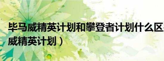 毕马威精英计划和攀登者计划什么区别（毕马威精英计划）