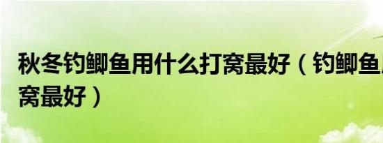 秋冬钓鲫鱼用什么打窝最好（钓鲫鱼用什么打窝最好）