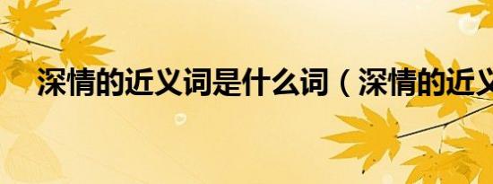 深情的近义词是什么词（深情的近义词）