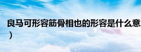良马可形容筋骨相也的形容是什么意思（良马）