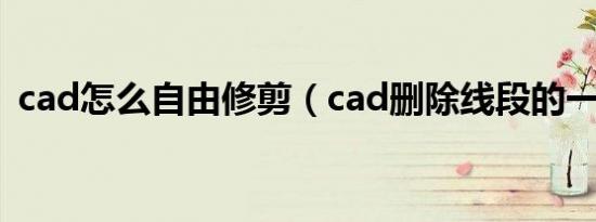 cad怎么自由修剪（cad删除线段的一部分）