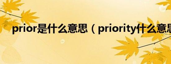 prior是什么意思（priority什么意思啊）