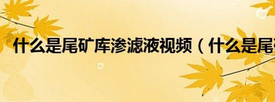 什么是尾矿库渗滤液视频（什么是尾矿库）