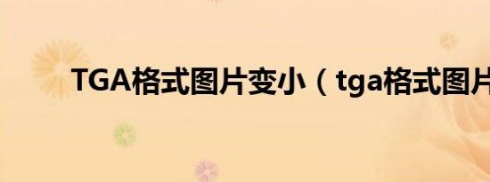 TGA格式图片变小（tga格式图片）