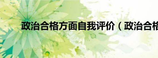 政治合格方面自我评价（政治合格）