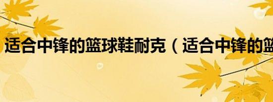 适合中锋的篮球鞋耐克（适合中锋的篮球鞋）